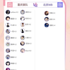 开云体育官方入口-18v3，更多嘉宾看好重庆狼队