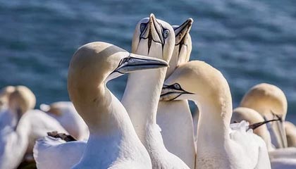 开云平台：开启云端协同的新纪元